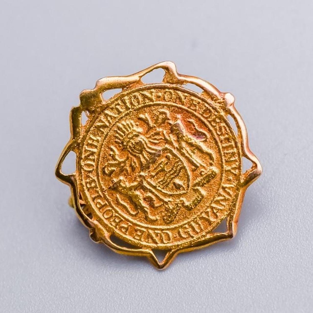 18K Gold Guyana Crest Brooch